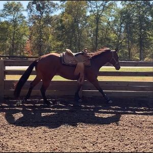 Meet your Posher, Marybeth